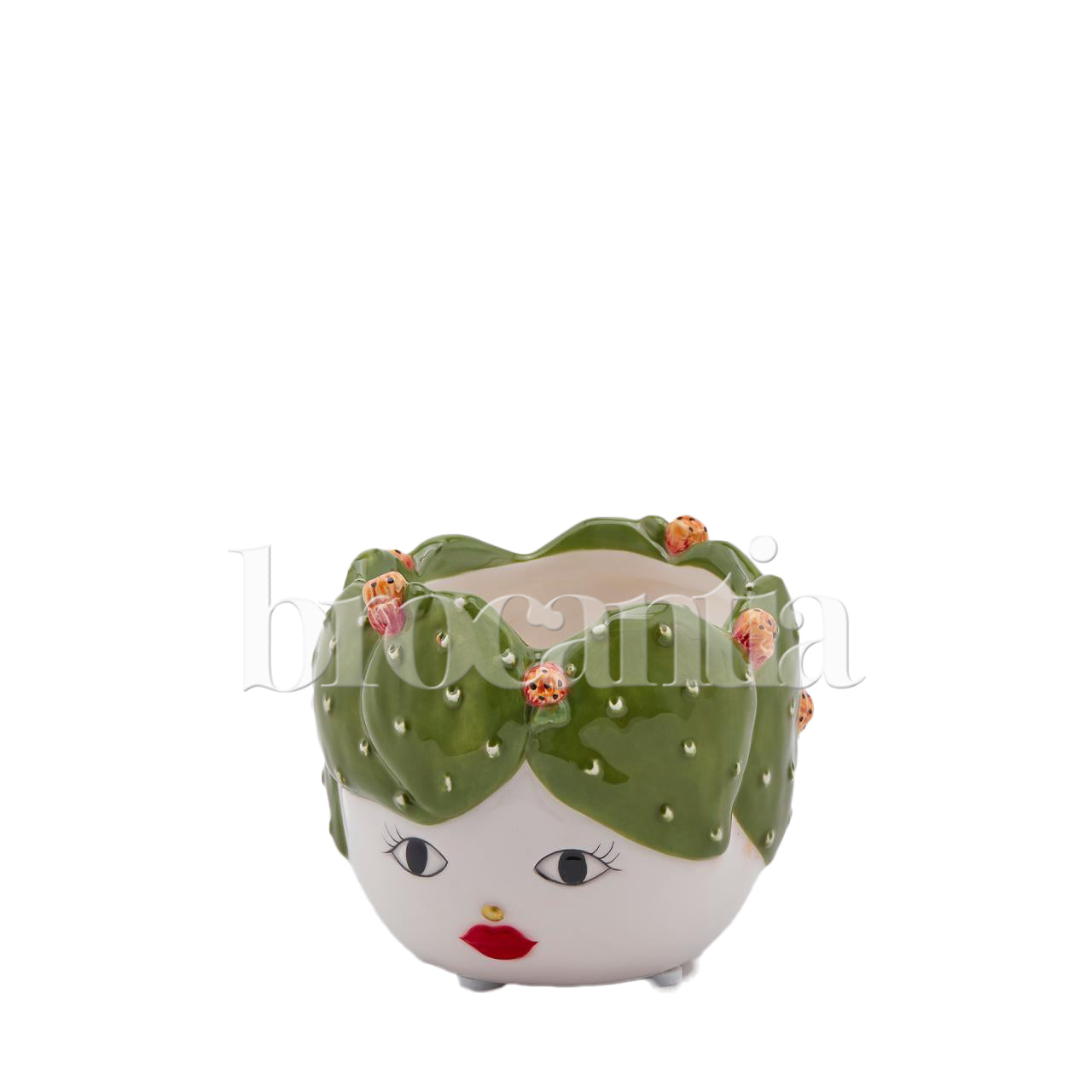 Macetero cabeza planta
