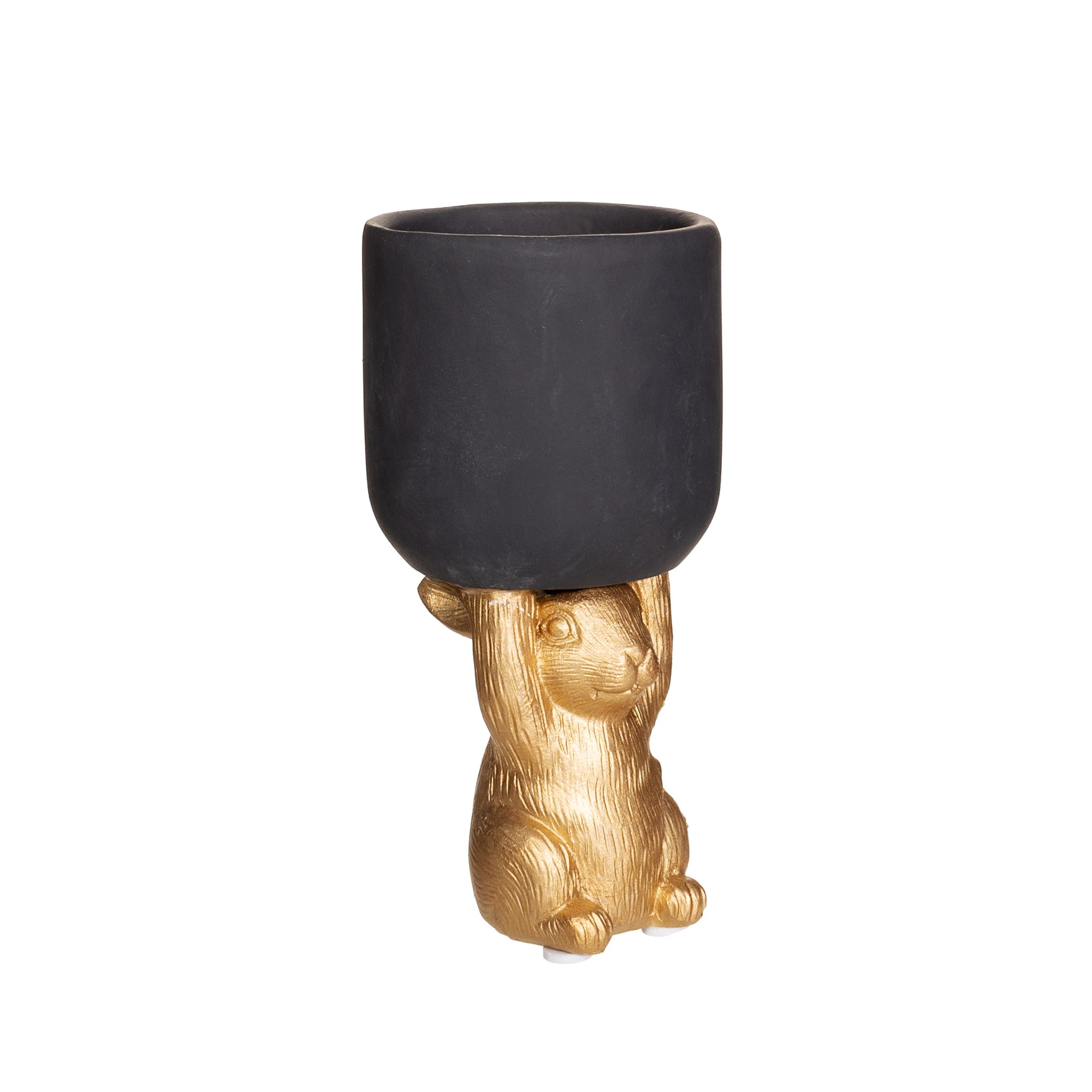 Macetero para cáctus conejo dorado