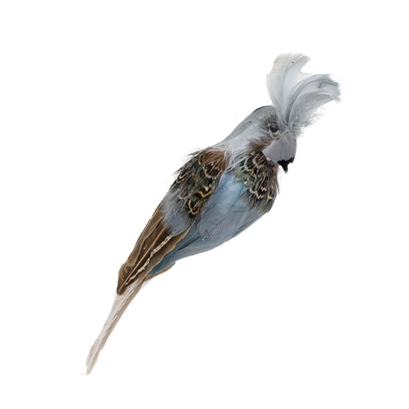 Pájaro plumas azul - Brocantia - Tienda decoracion y regalos Oviedo
