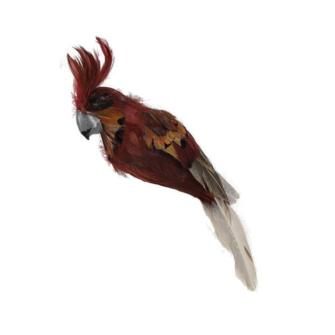 Pájaro plumas marrón - Brocantia - Tienda decoracion y regalos Oviedo