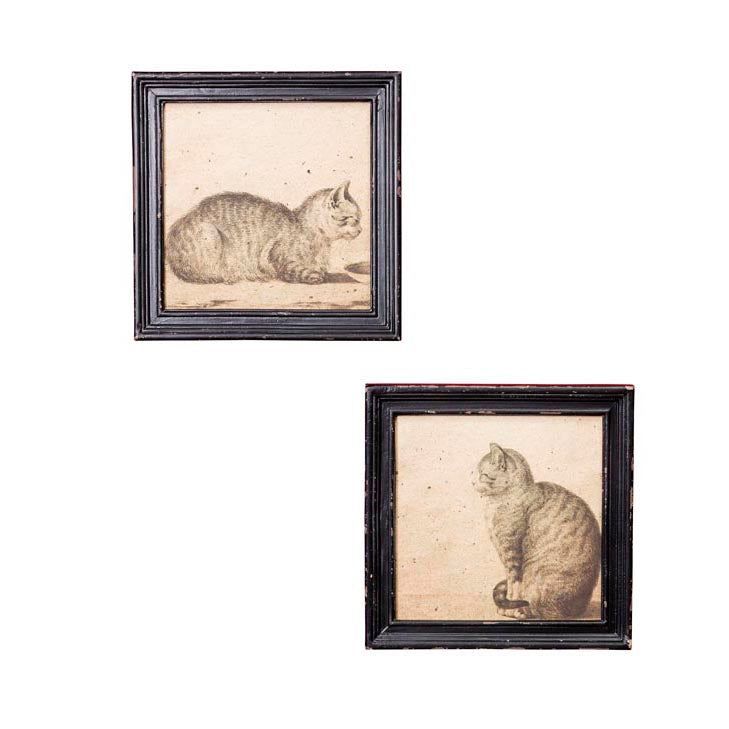 Set 2 cuadros gatos